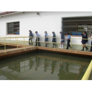 Visita a Aguas de Corrientes - 5to. Grado del Nivel Primario
